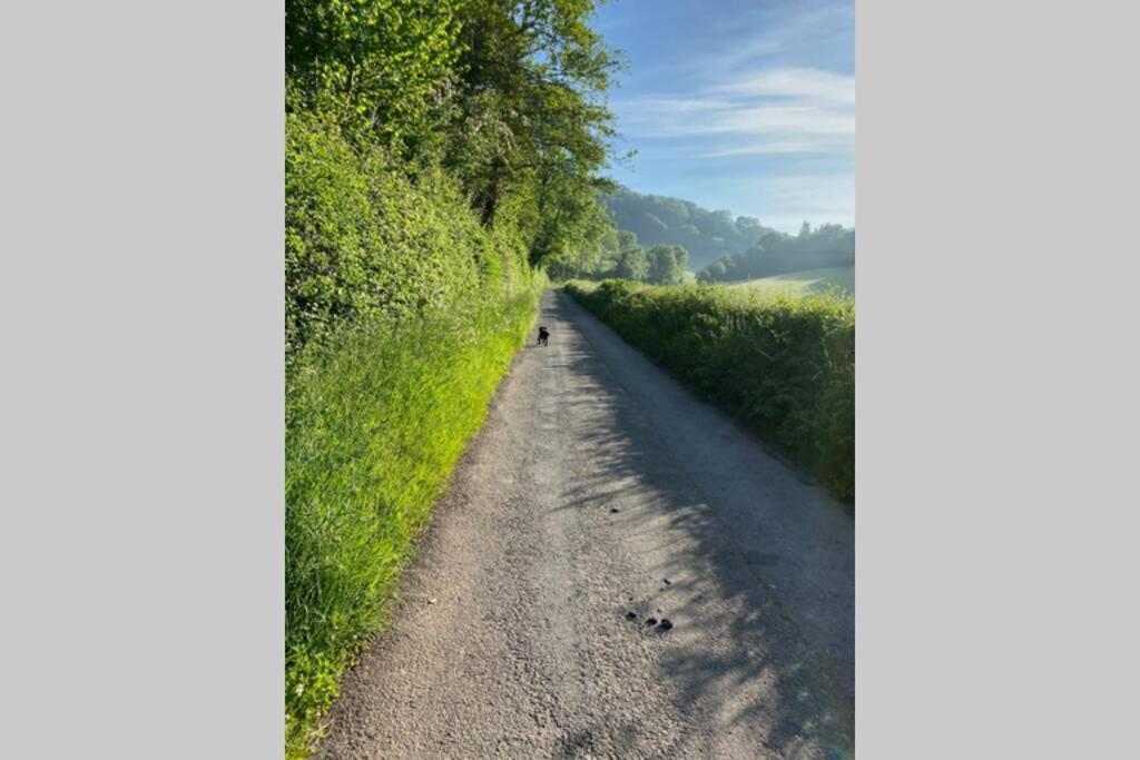 Relaxing Cottage In The Beautiful Usk Valley エクステリア 写真